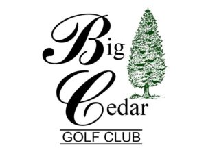 Big Cedar Point Wedding