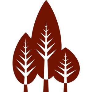 Pinestone Resort Wedding