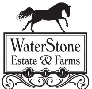WaterStone Wedding