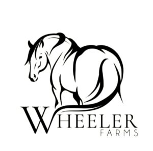 Wheeler Farms Wedding